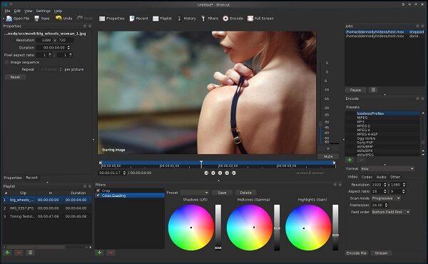 Professional Editing Software Download Best Professional Video Editing Software For Windows, Mac and Linux