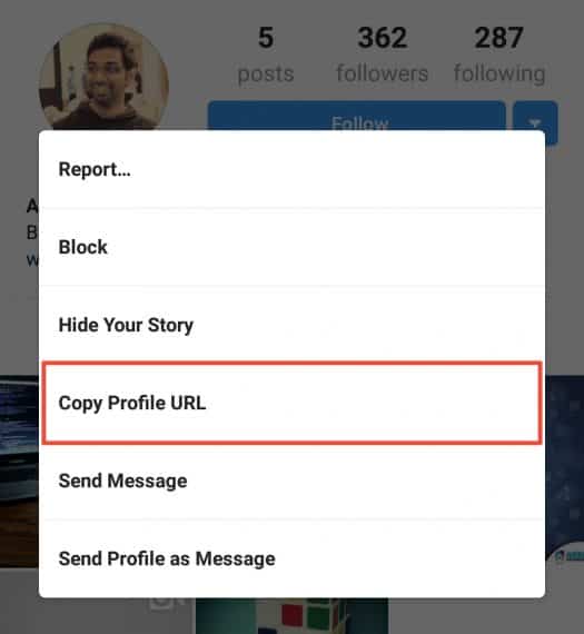 Tap on "Copy Profile URL" to copy the URL of Instagram profile