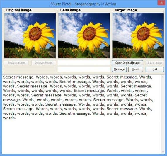 ssuite piscel steganography software