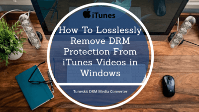 losslessly remove DRM protection