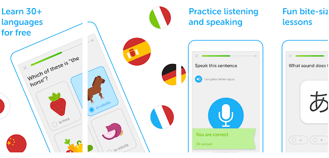 Duolingo educational app for Android