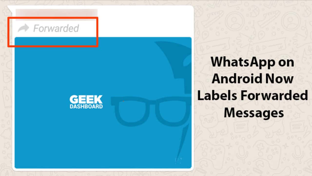 you-can-now-identify-forwarded-messages-on-whatsapp-here-s-how-it-works