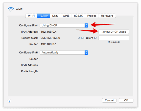 TCP IP Options in Mac