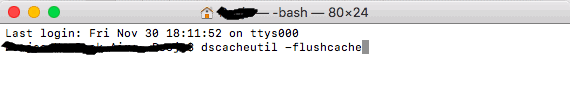 Flush DNS on Mac by running the command dscacheutil -flushcache
