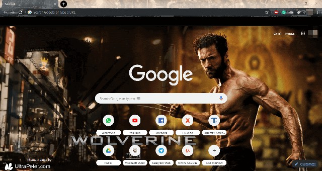 Wolverine Theme for Google Chrome