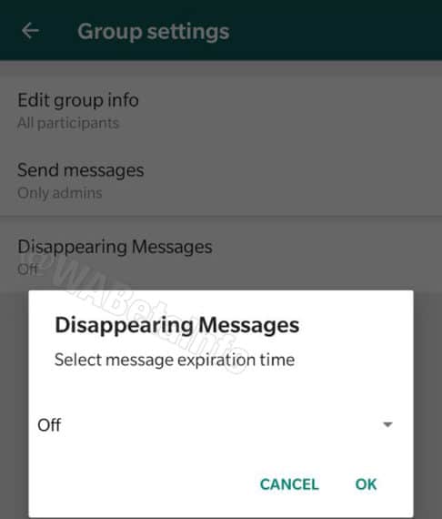 whatsapp disappearing messages