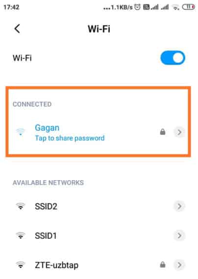 Connected WiFi Networks in WiFi Settings