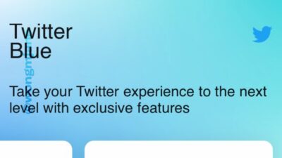 Twitter Blue
