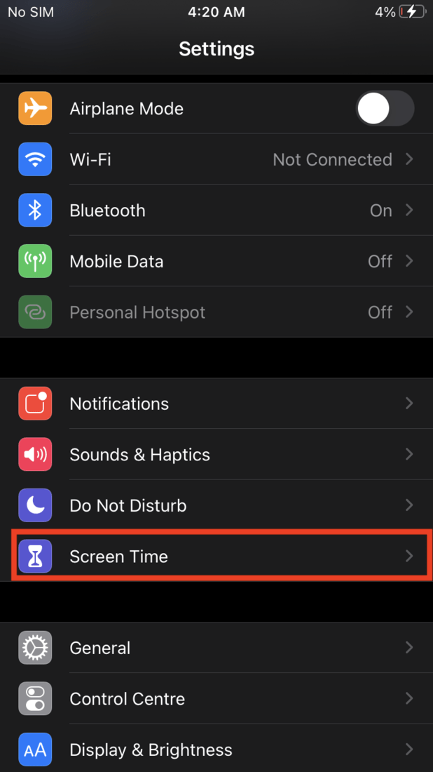 Screen Time Option in iPhone Settings