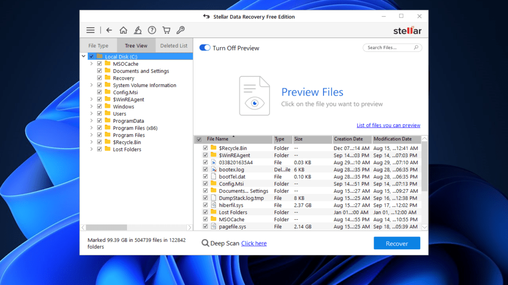 Stellar Data Recovery Files Preview