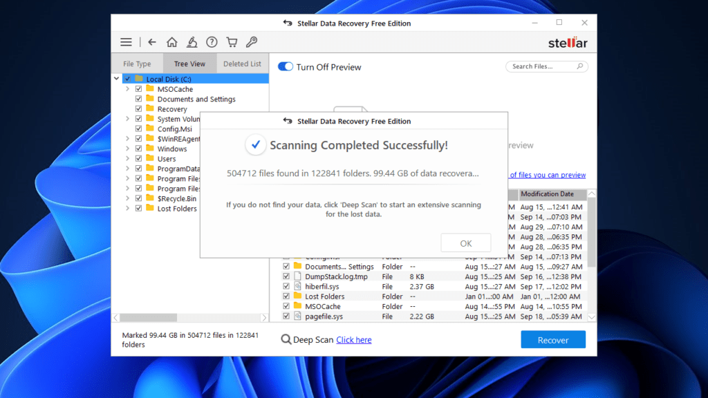 Stellar Data Recovery Scan Results