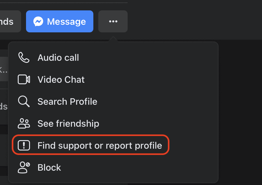 Find Support and Report Profile button under the three-dot submenu