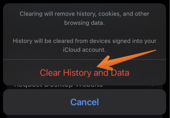 Click on Clear History and Data