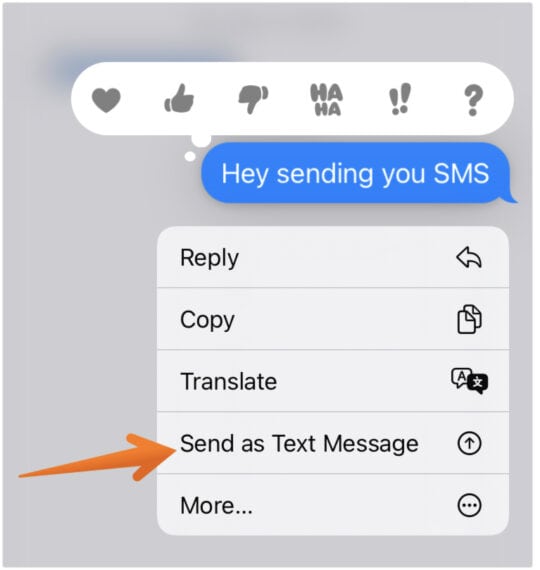 Click on Send as Text Message