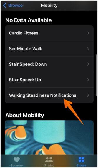 Click on Walking Steadiness Notifications