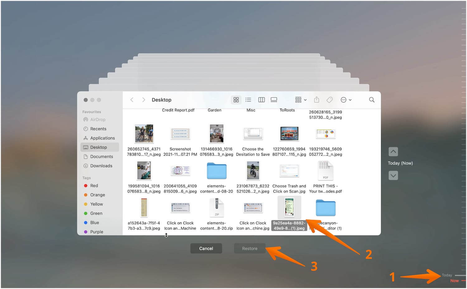 How to Recover Deleted Files from Emptied Trash Bin on Mac