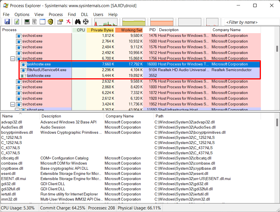 Host Process in Process Explorer