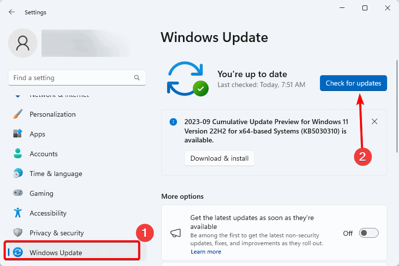 Check for Windows Updates 