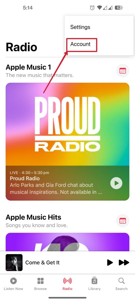 Apple Music App 