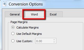 conversion option word