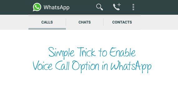 how to enable voice call in WhatsaApp