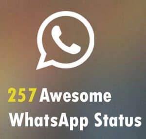 WhatsApp status update collection